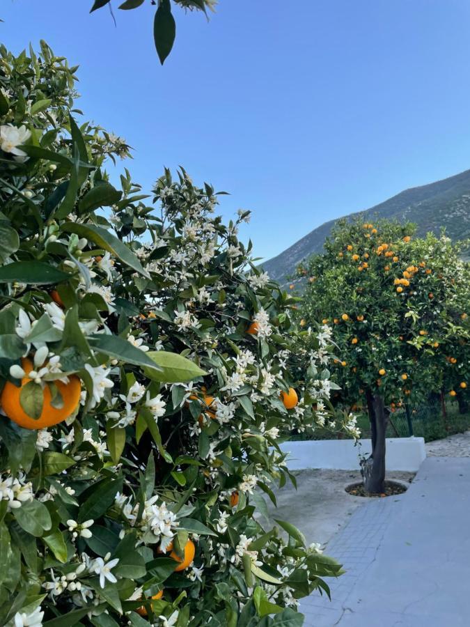 에피다우로스 Citrus Garden 빌라 외부 사진